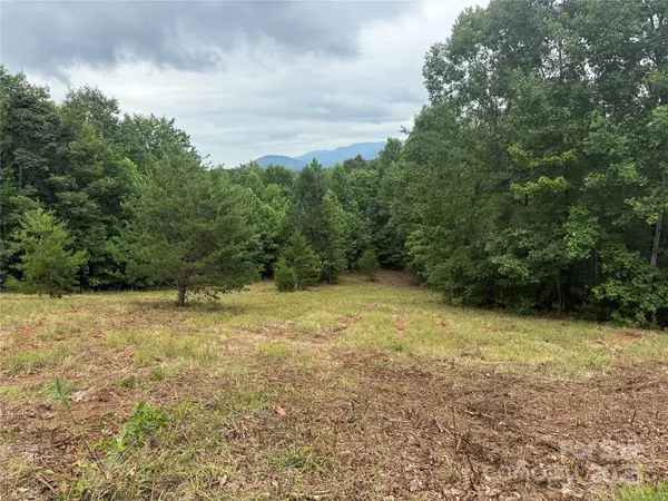 166 Coal Pit Mountain DR #359, Nebo, NC 28761