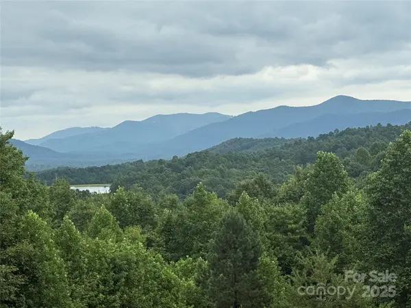 166 Coal Pit Mountain DR #359, Nebo, NC 28761