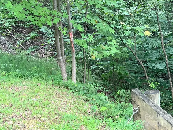 00 Deep Gap RD E #97, Mill Spring, NC 28756