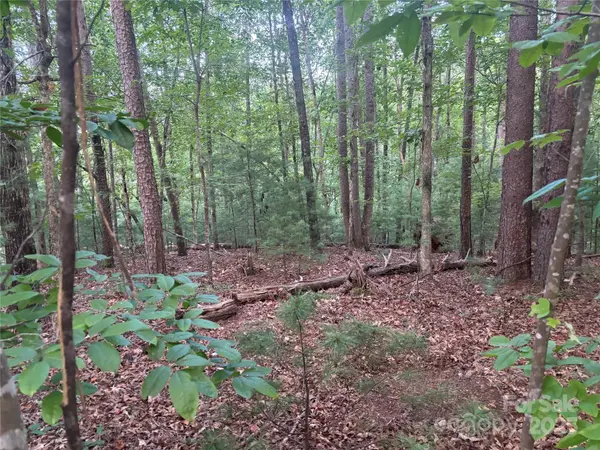 lots 11/12 South Pointe RD, Mill Spring, NC 28756