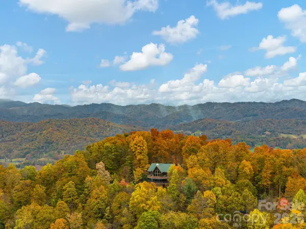 1036 Forces Of Nature TRL, Mars Hill, NC 28754