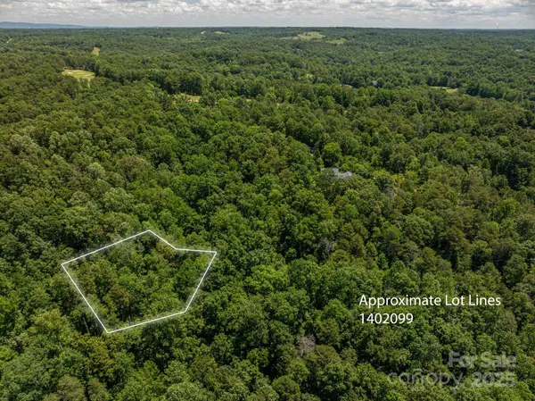 Lot 169 Coxe RD, Rutherfordton, NC 28139