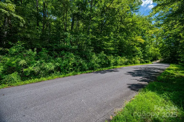 Lot 160 Coxe RD, Rutherfordton, NC 28139