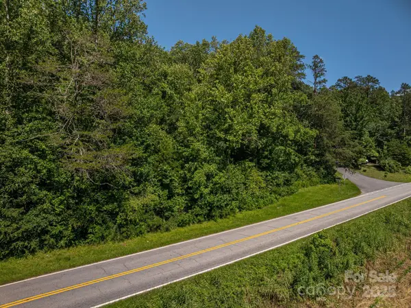 Lot 160 Coxe RD, Rutherfordton, NC 28139