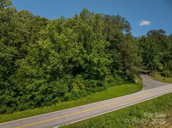Lot 160 Coxe RD, Rutherfordton, NC 28139