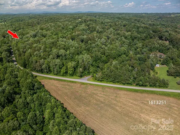 Lot 163 Coxe RD, Rutherfordton, NC 28139