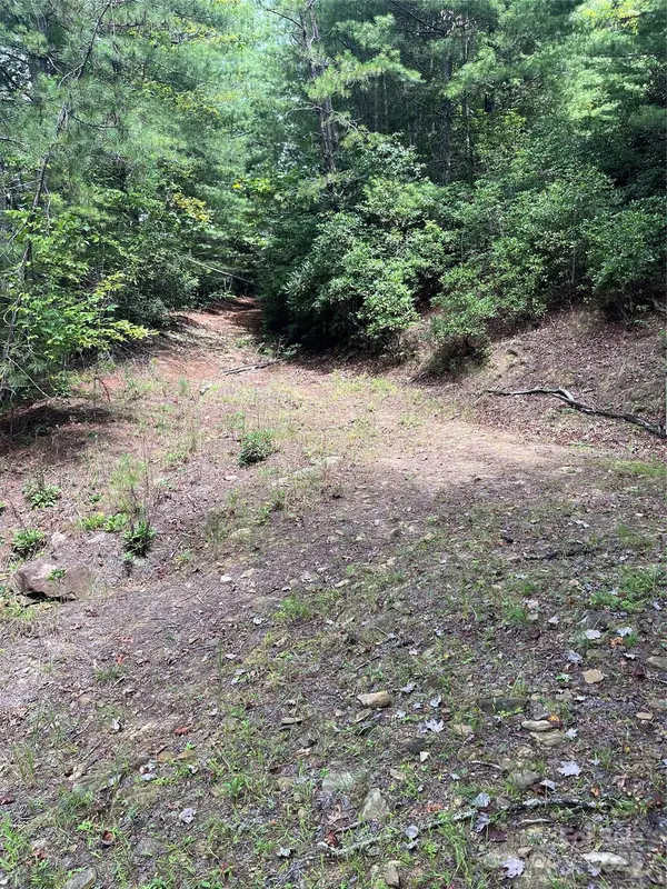 TBD Normcol RD, Pisgah Forest, NC 28768