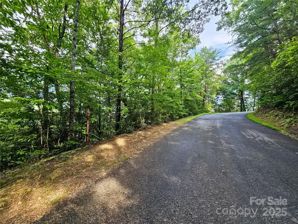 TBD Rumbling Bald RD #15, Lake Lure, NC 28746