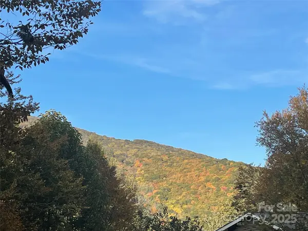 96 Chestnut LN #96, Mars Hill, NC 28754