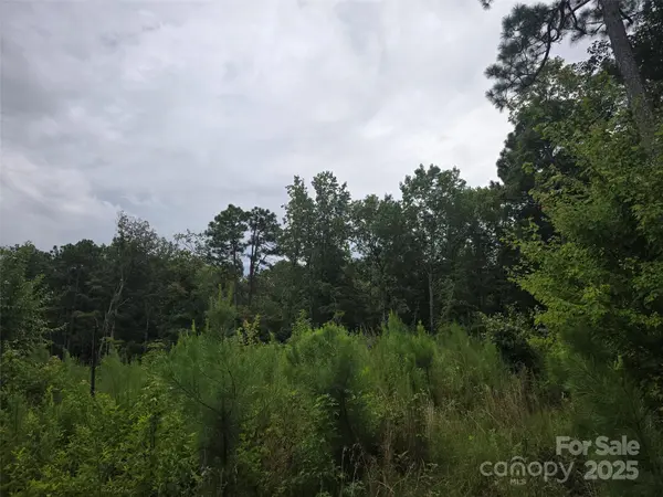 0 N NC 109 HWY, Troy, NC 27371