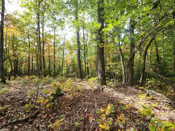 99999 N Pointe DR #2, Zirconia, NC 28790
