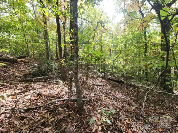 99999 N Pointe DR #3, Zirconia, NC 28790