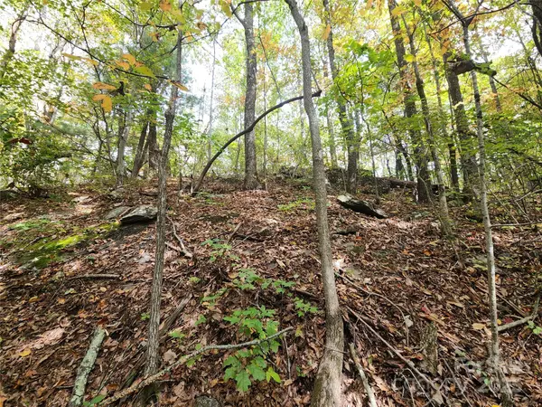 99999 N Pointe DR #3, Zirconia, NC 28790