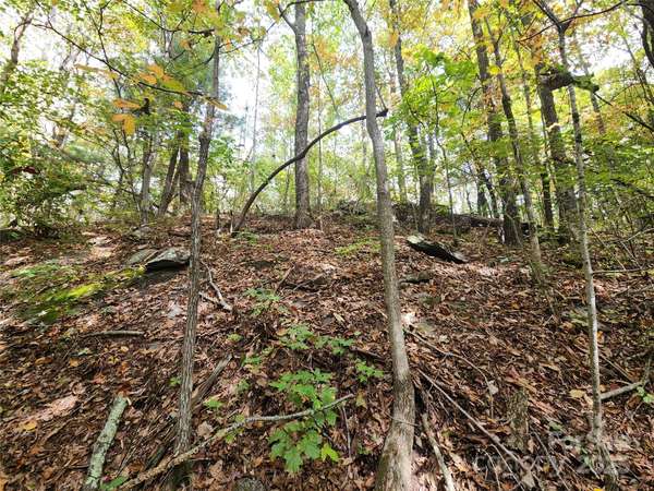 99999 N Pointe DR #3, Zirconia, NC 28790