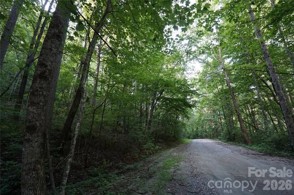 0 S Poplar DR #162, Lake Lure, NC 28746