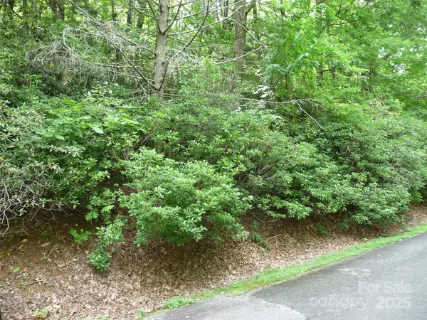 Lot 70 Serpentine DR #Lot 70, Columbus, NC 28722
