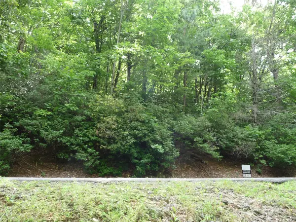 Lot 70 Serpentine DR #Lot 70, Columbus, NC 28722