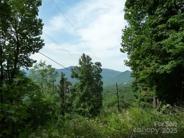 999 Skyuka Mountain RD #Lot 9, Columbus, NC 28722