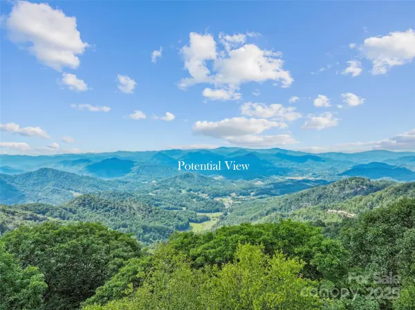 Lot 9 Wormy Chestnut RD, Burnsville, NC 28714