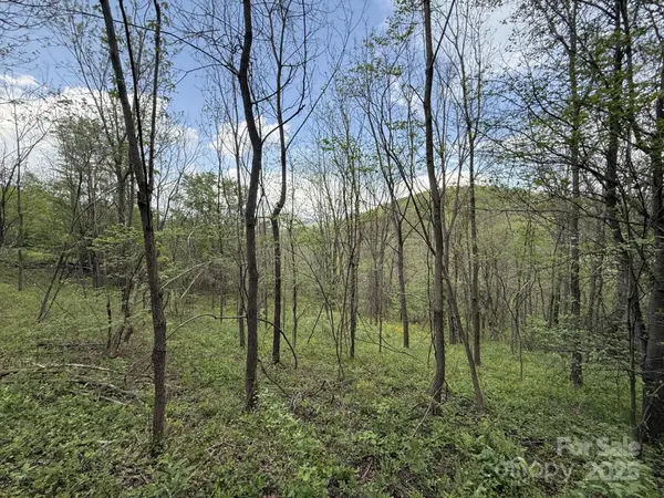 284 Northridge DR, Canton, NC 28716