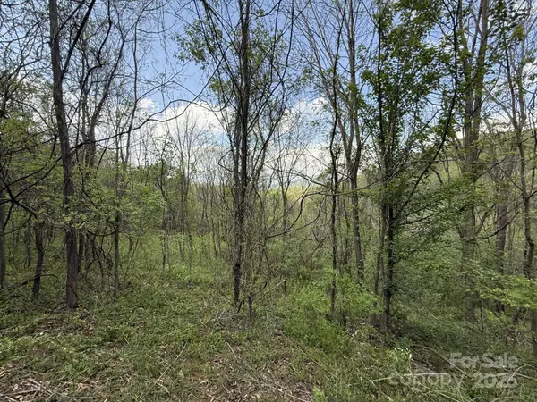 284 Northridge DR, Canton, NC 28716