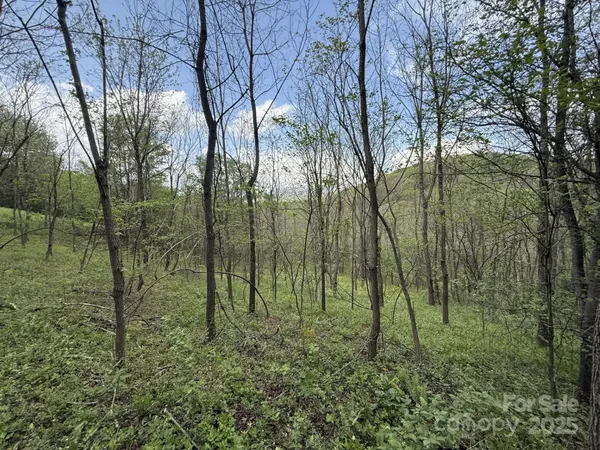 284 Northridge DR, Canton, NC 28716
