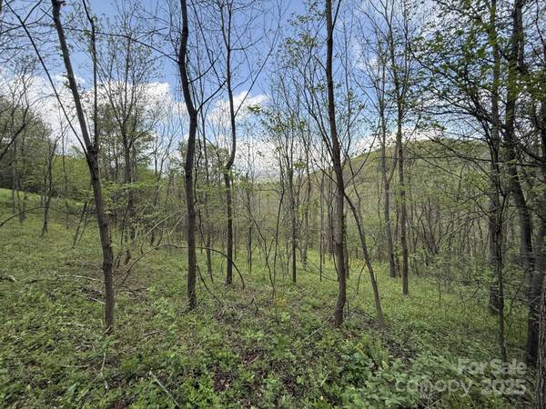 284 Northridge DR, Canton, NC 28716