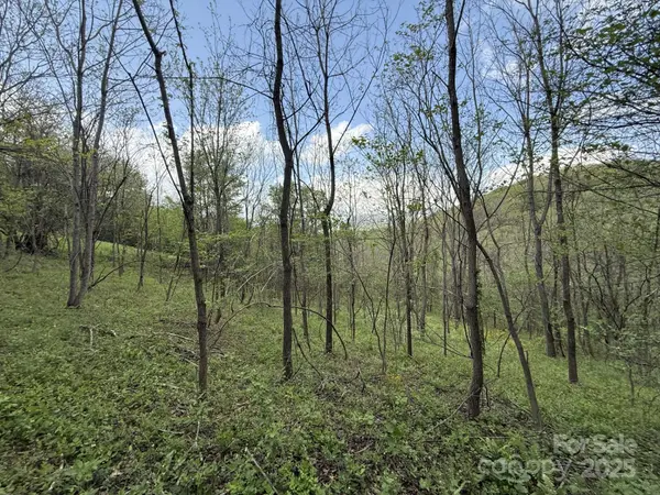 284 Northridge DR, Canton, NC 28716