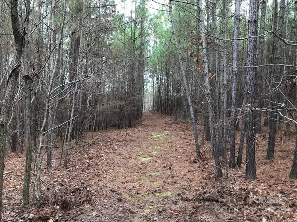 68 Lakeside TRL #68, Lilesville, NC 28170