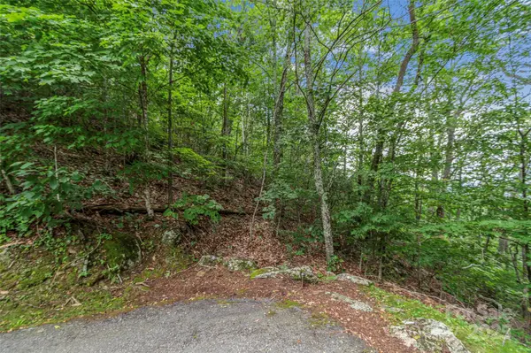 Lot 84 Ridgepoint VW #84/1, Burnsville, NC 28714
