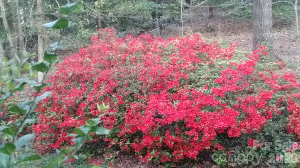 3065 Woodstream DR, Valdese, NC 28690