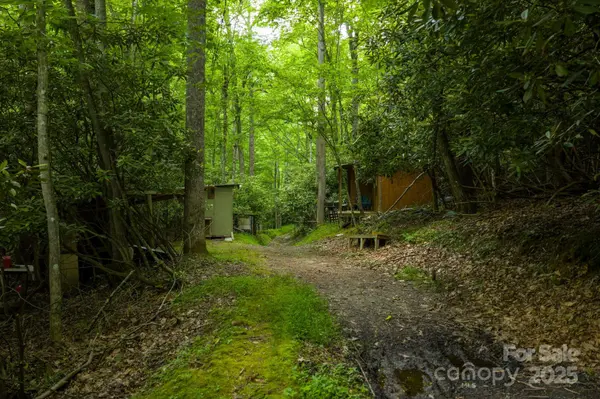 TBD Phipps Dairy RD, Piney Creek, NC 28663