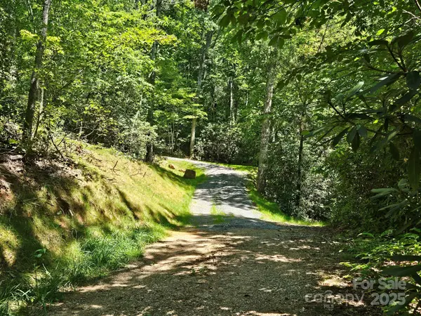 0 Blue Vista RD #1, Canton, NC 28716