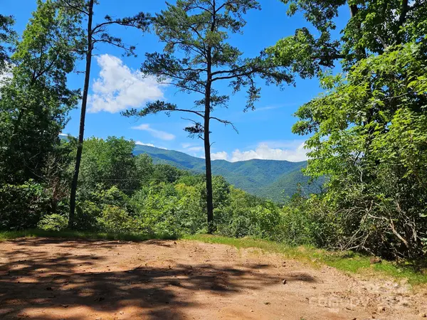 0 Blue Vista RD #1, Canton, NC 28716