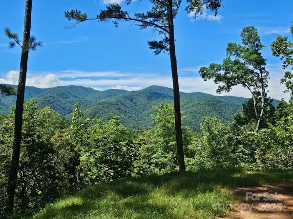 0 Blue Vista RD #1, Canton, NC 28716