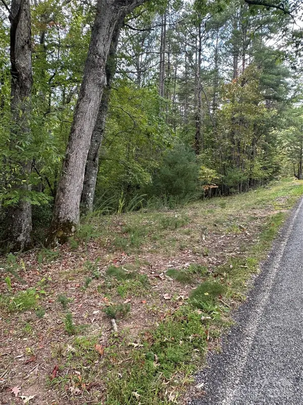 00 Pleasant Hill RD, Franklin, NC 28734