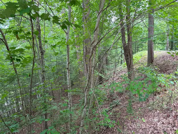 000 Ruffed Grouse LN, Waynesville, NC 28786