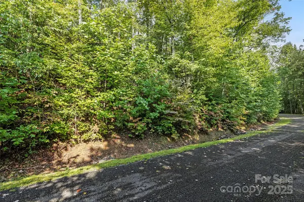 TBD Barts Branch DR #13-16, Balsam Grove, NC 28708