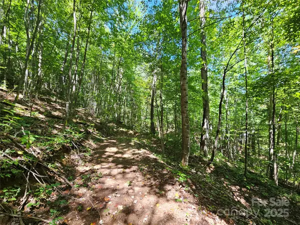 112 Steinwald TRL, Waynesville, NC 28786