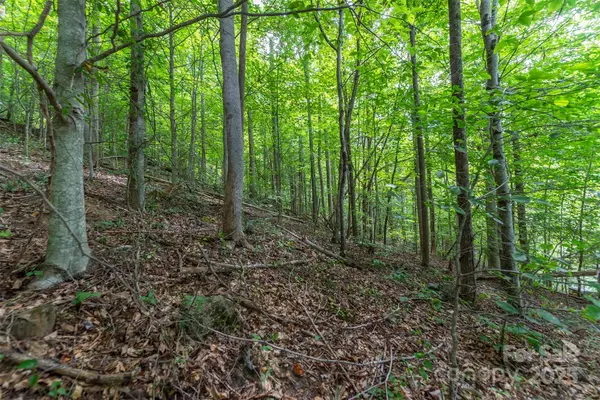 72 Applewood LN #93, Weaverville, NC 28787