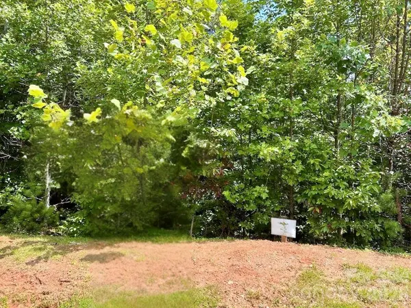 3.31 acres, Lot 37 Poplar Bluff DR SE #37, Lenoir, NC 28645