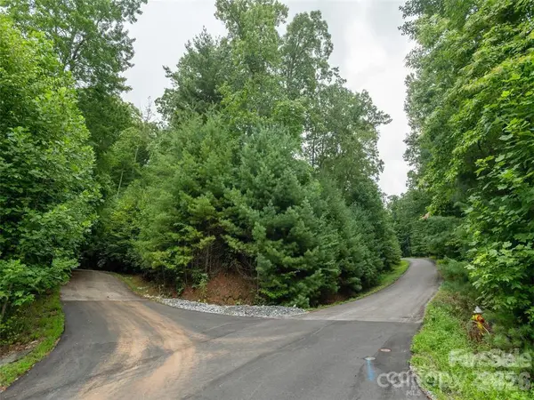 00 Willow Brook Falls None #3, Hendersonville, NC 28739