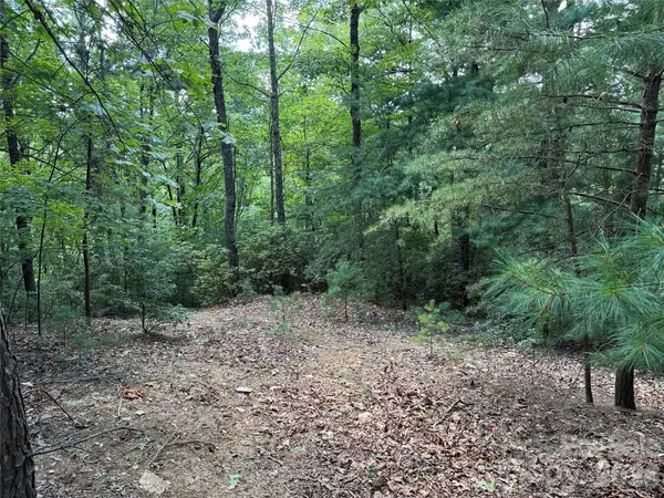 TBD Hickory Hollow RD #102 & 103, Purlear, NC 28665