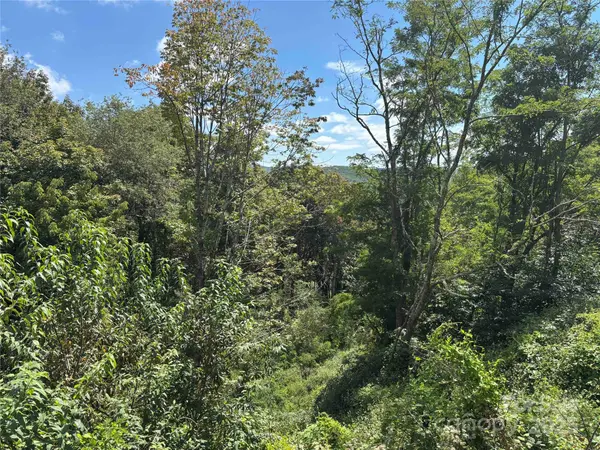TBD Linhigh DR #66, Newland, NC 28657