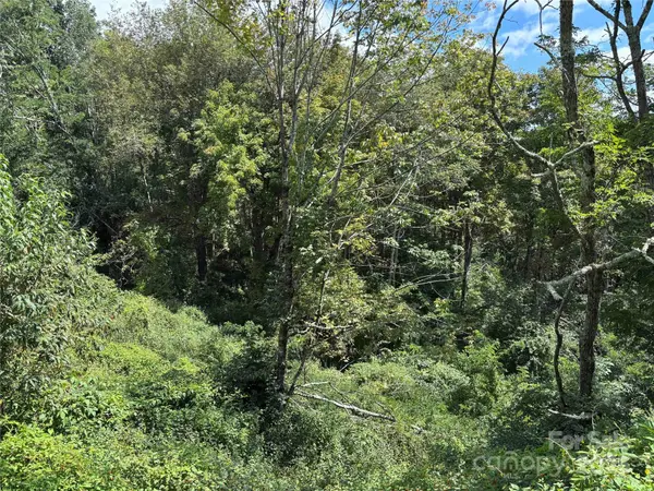 TBD Linhigh DR #66, Newland, NC 28657