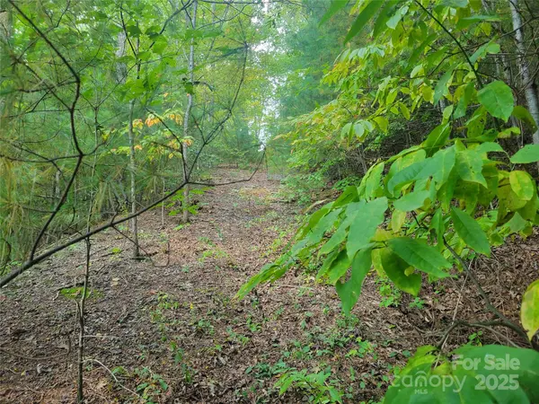 0 Pinewood DR #5, Waynesville, NC 28786