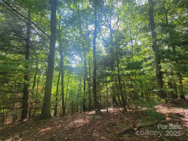 0 Pinewood DR #5, Waynesville, NC 28786
