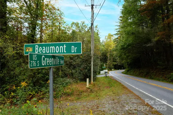 00 Beaumont DR, Cedar Mountain, NC 28718