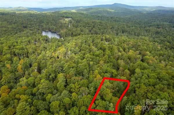 00 Beaumont DR, Cedar Mountain, NC 28718