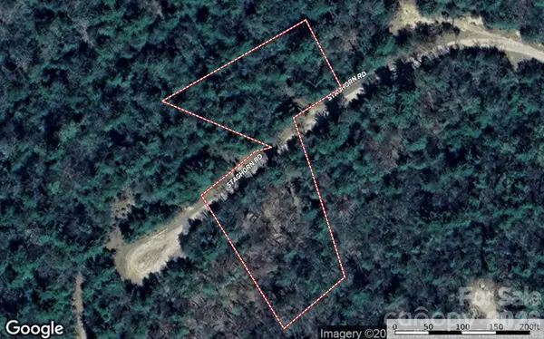 TBD Staghorn RD #163, Purlear, NC 28665